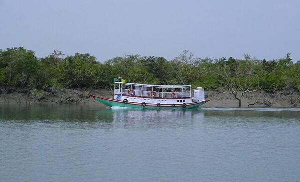 Kolkata to Sundarban package tour for 2 night 3 days, 